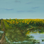 "Sunflower field by the road" 12*18